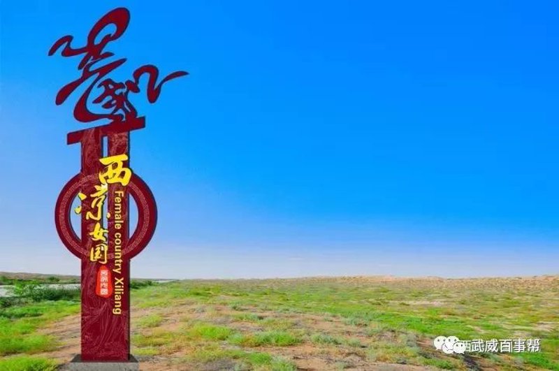 武威电商系统