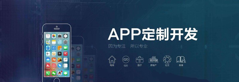 案例解读：武威软件公司的崛起之路