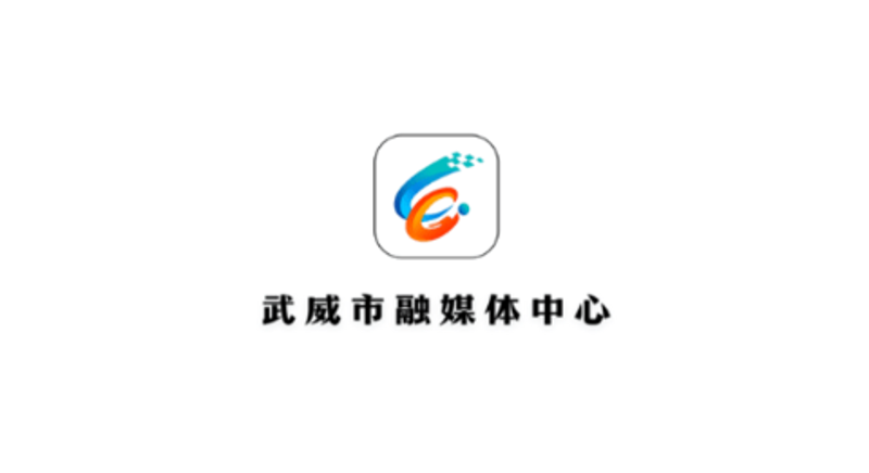 工具推荐类：武威软件公司的最佳选择